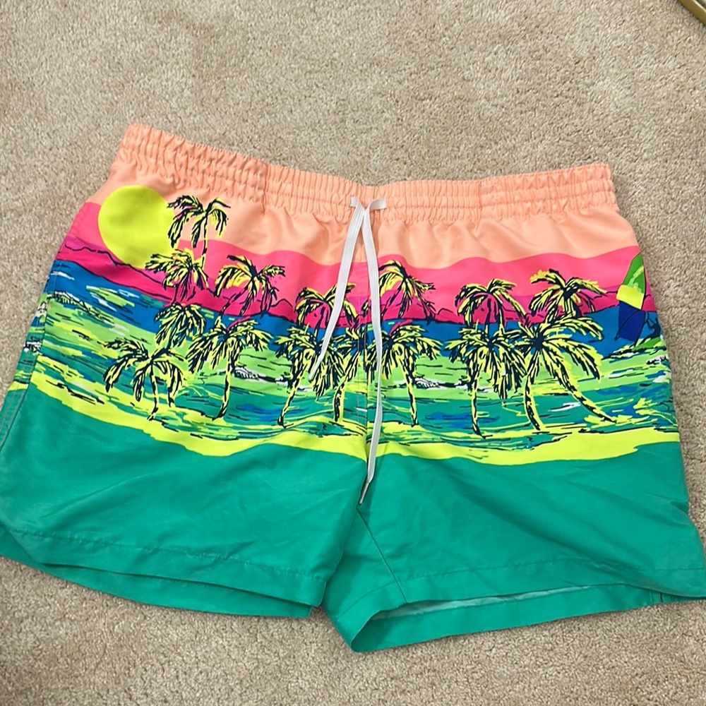 Chubbies 5.5 inch The Coastals Swim Trunk